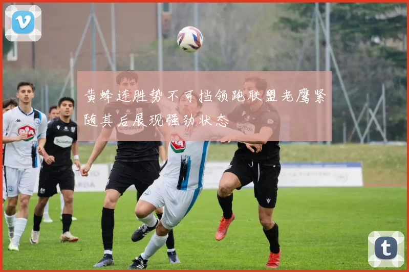 黄蜂连胜势不可挡领跑联盟老鹰紧随其后展现强劲状态